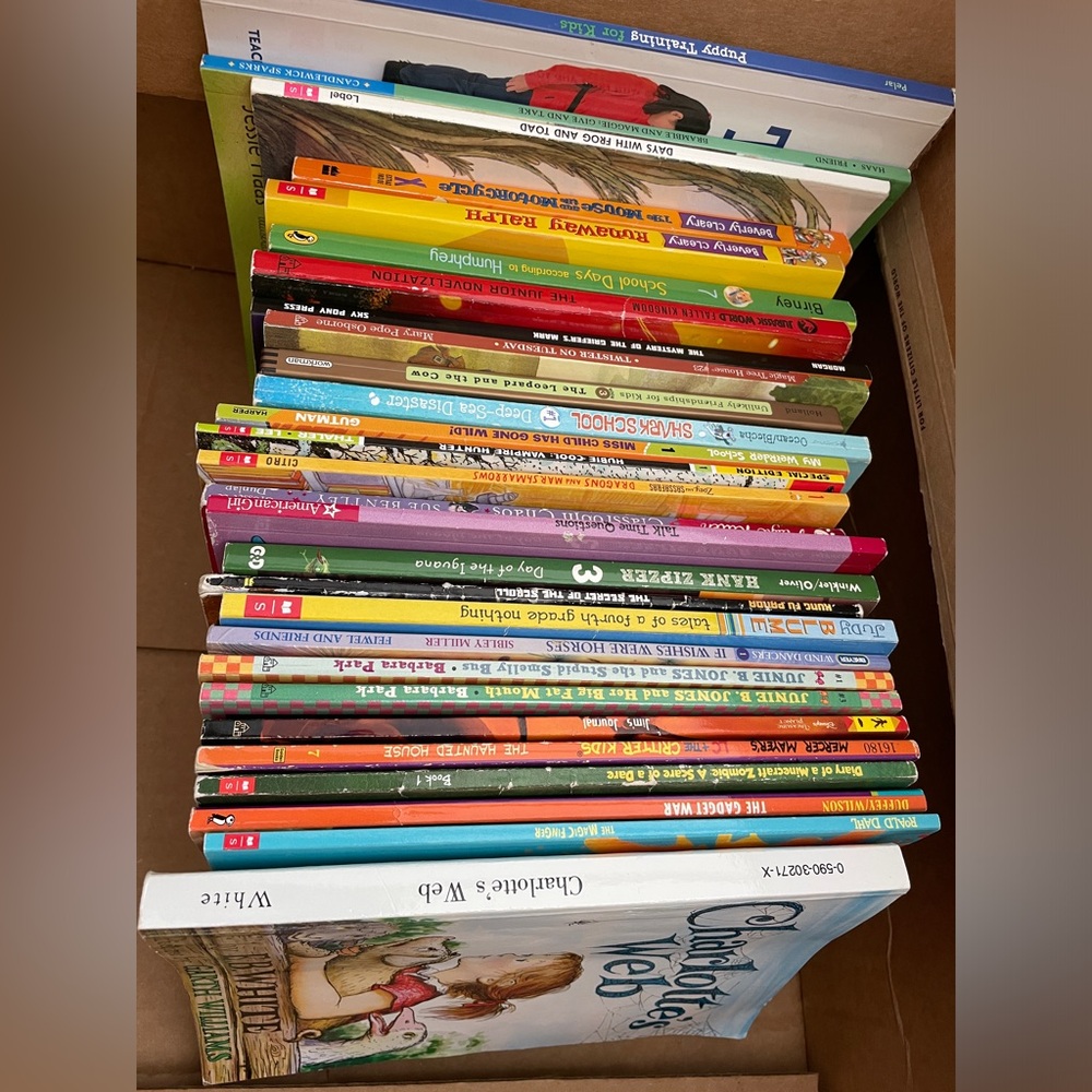 Lot Bundle 30 Books Chapter Kids Children Elementary School